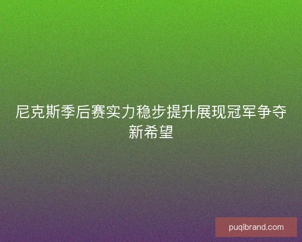 尼克斯季后赛实力稳步提升展现冠军争夺新希望