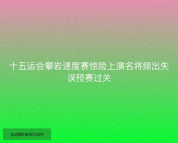 十五运会攀岩速度赛惊险上演名将频出失误预赛过关